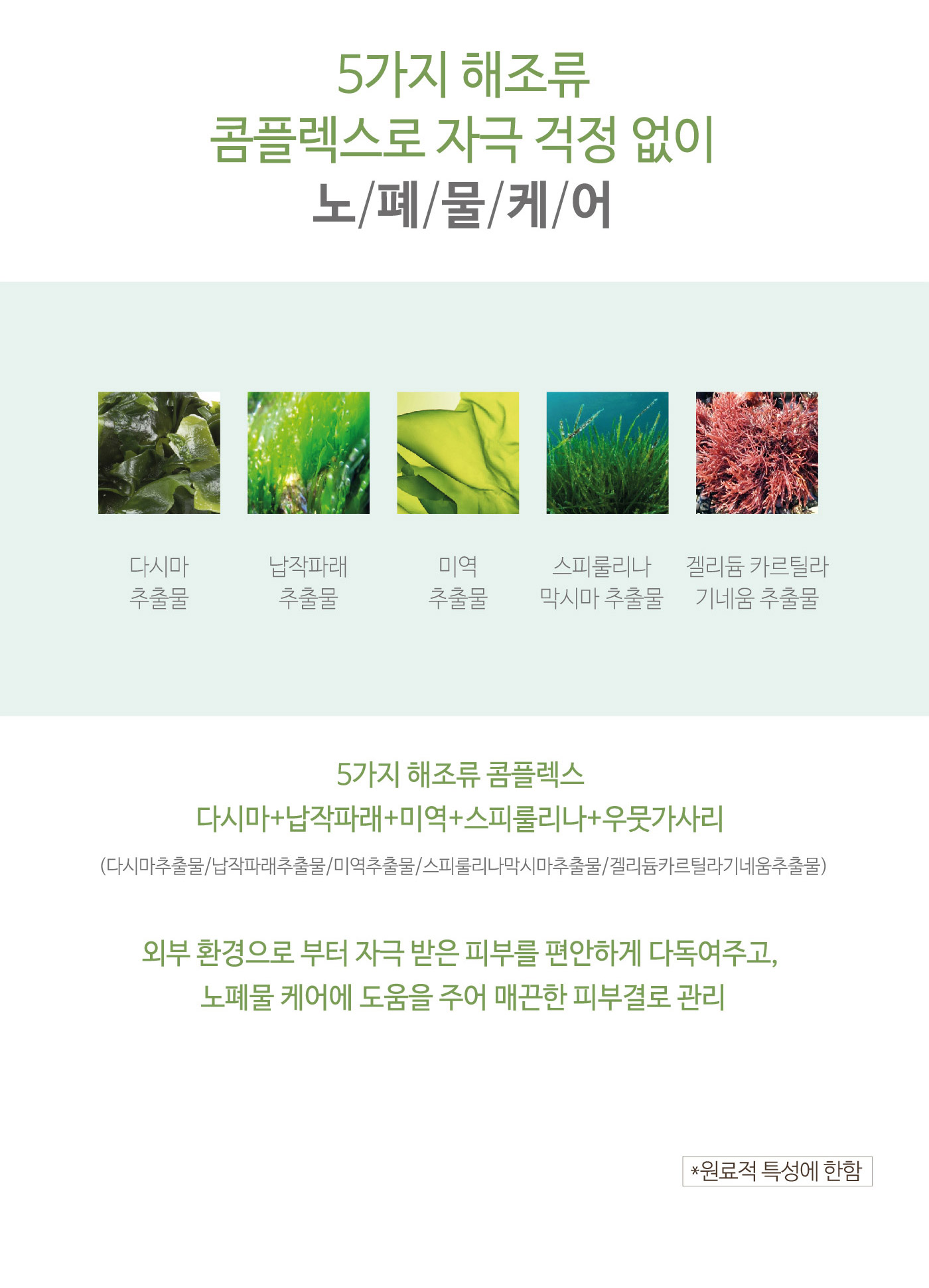 씨실-밤부솔트-리페어-마스크-5매_상세1_06.jpg
